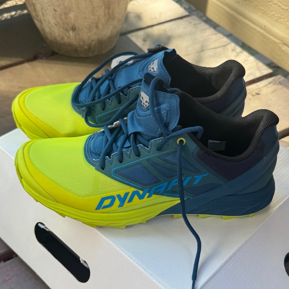 Dynafit Women's Blue and Yellow Trail Shoes
